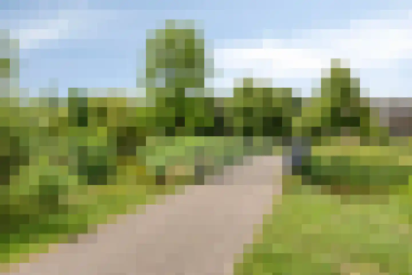 Heer Arnoudstraat 11 Oosterhout thumbnail 50