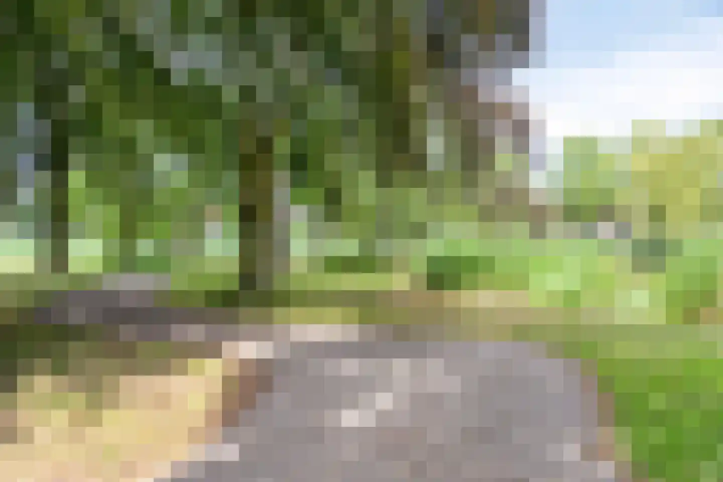 Heer Arnoudstraat 11 Oosterhout thumbnail 51