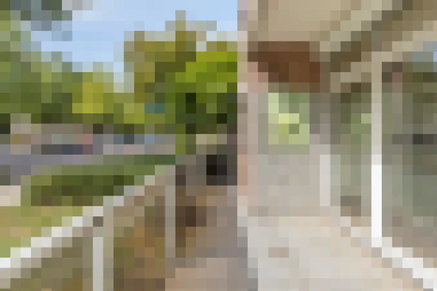 Heer Arnoudstraat 17 Oosterhout thumbnail 13