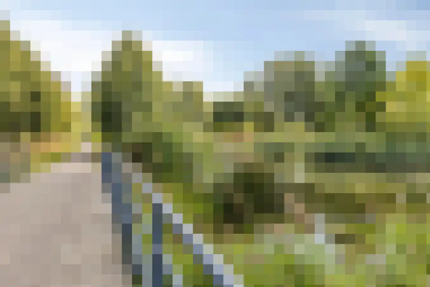 Heer Arnoudstraat 17 Oosterhout thumbnail 21