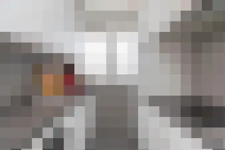 Heer Arnoudstraat 33 Oosterhout thumbnail 8