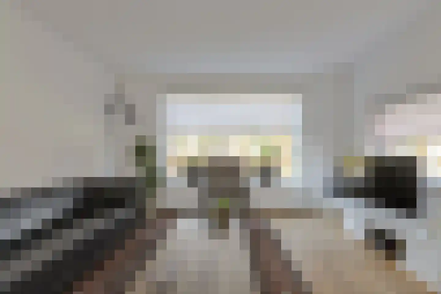 Heer Arnoudstraat 9 Oosterhout thumbnail 5