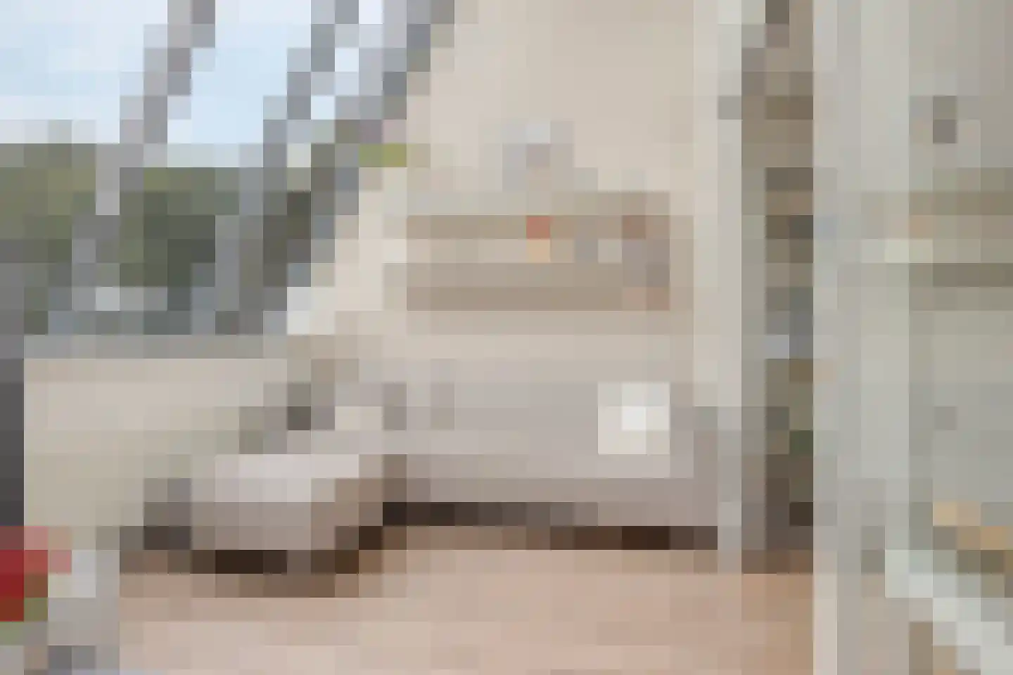 Heer Balderikstraat 12 Zaltbommel thumbnail 12