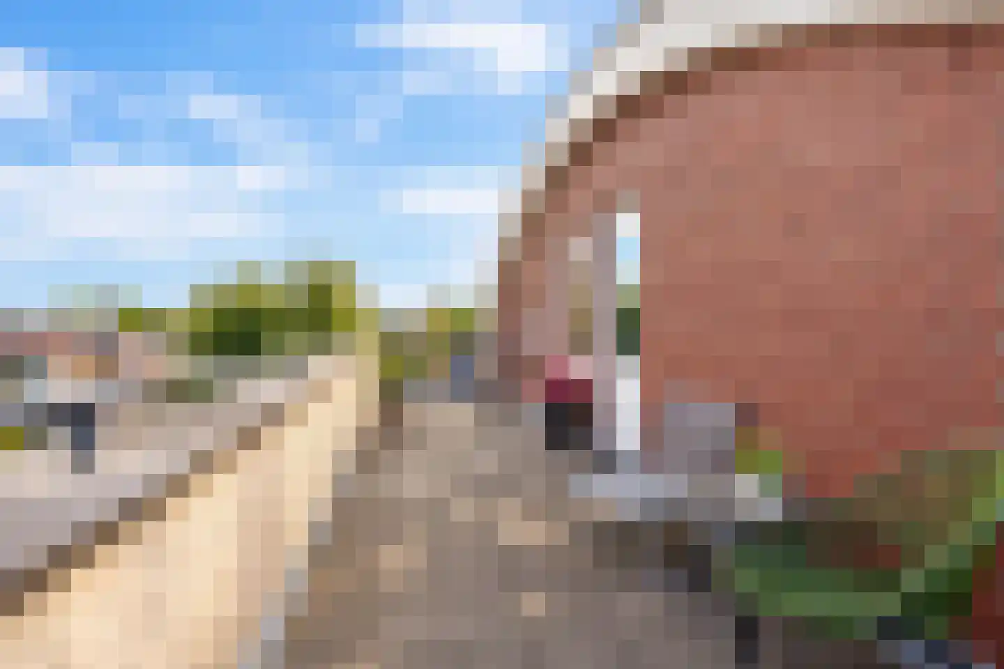 Heer Balderikstraat 12 Zaltbommel thumbnail 37