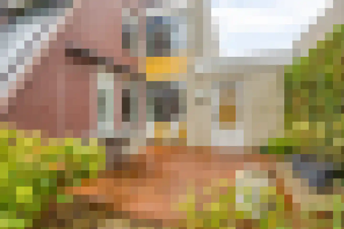 Heer Balderikstraat 12 Zaltbommel thumbnail 39