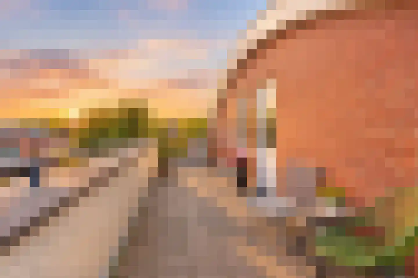 Heer Balderikstraat 12 Zaltbommel thumbnail 4