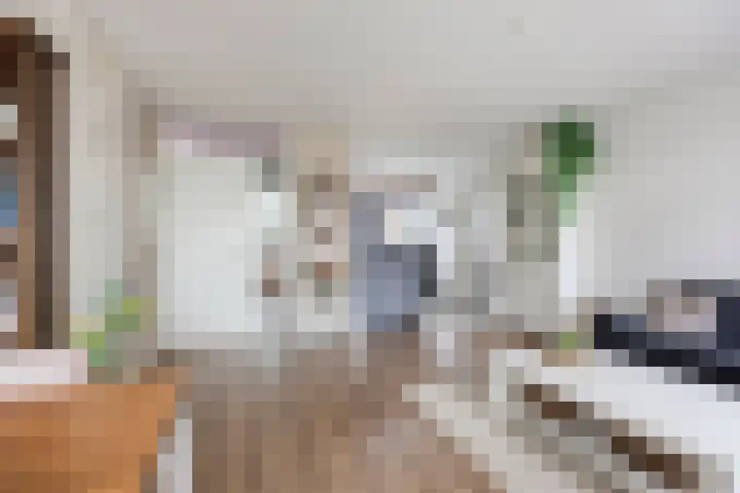 Heer Balderikstraat 12 Zaltbommel thumbnail 6