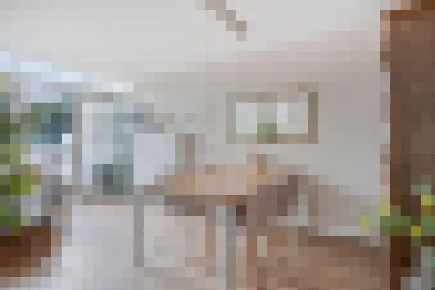 Heer Balderikstraat 12 Zaltbommel thumbnail 8