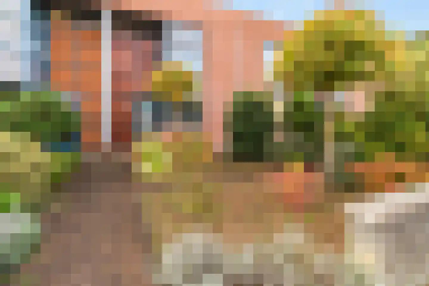 Heer Balderikstraat 125 Zaltbommel thumbnail 35