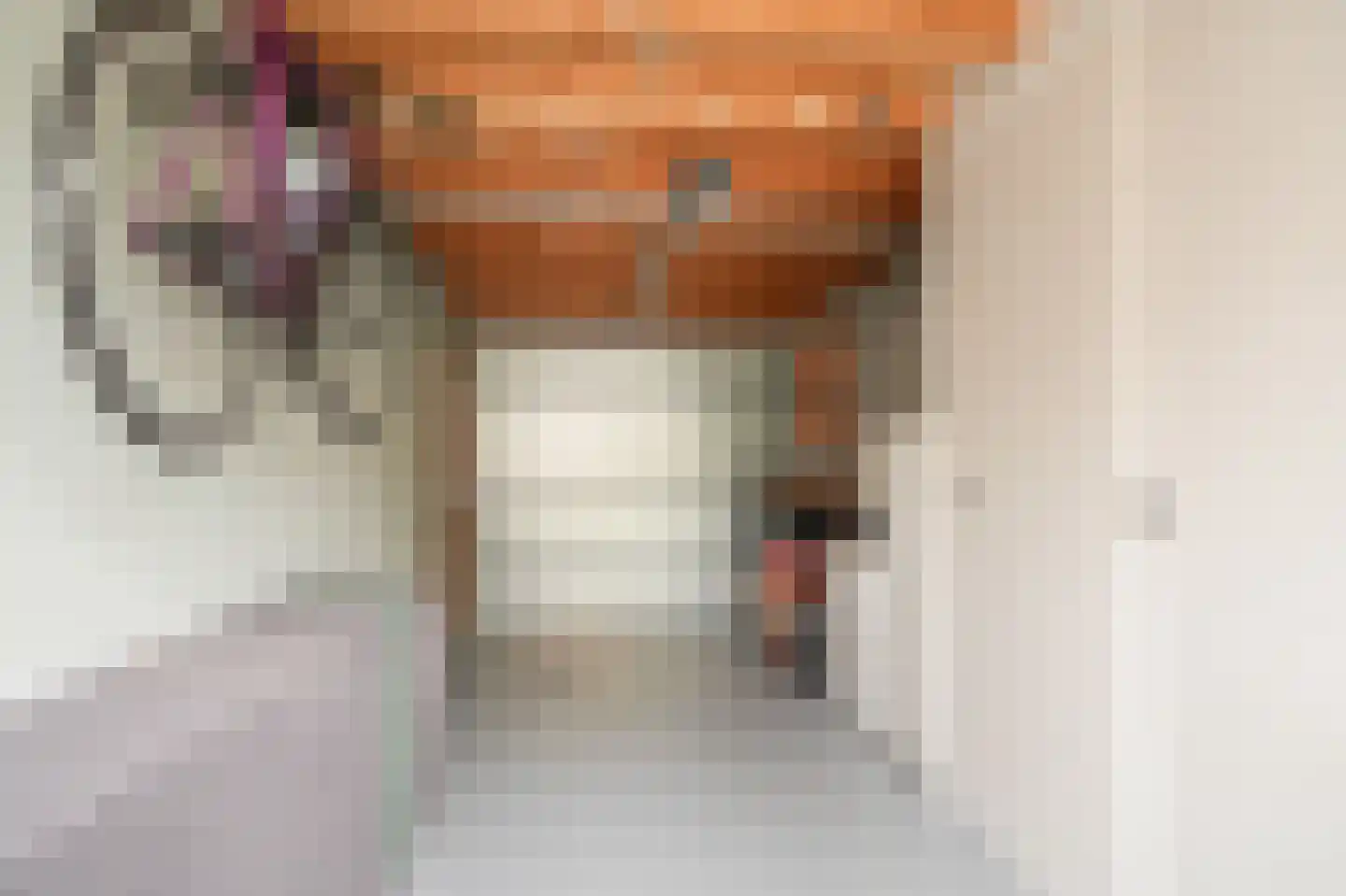 Heer Balderikstraat 21 Zaltbommel thumbnail 34