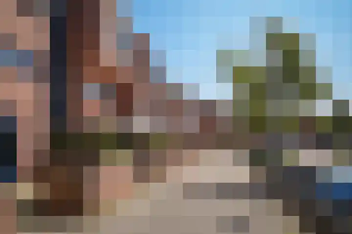 Heer Balderikstraat 45 Zaltbommel thumbnail 36