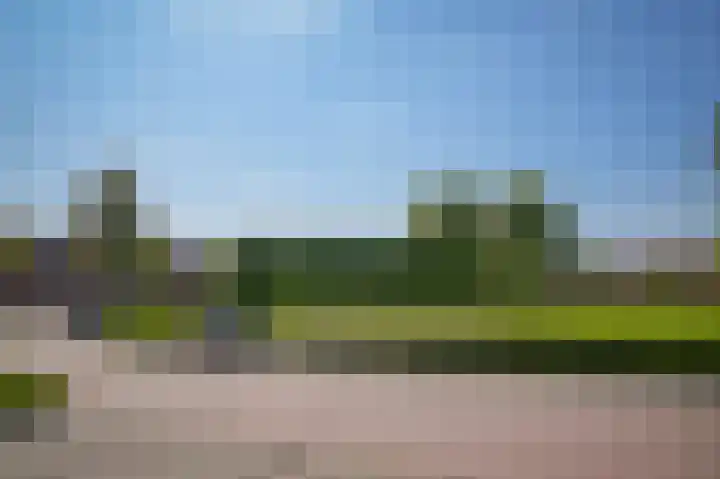 Heer Balderikstraat 45 Zaltbommel thumbnail 4