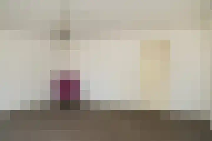 Heer Balderikstraat 45 Zaltbommel thumbnail 8