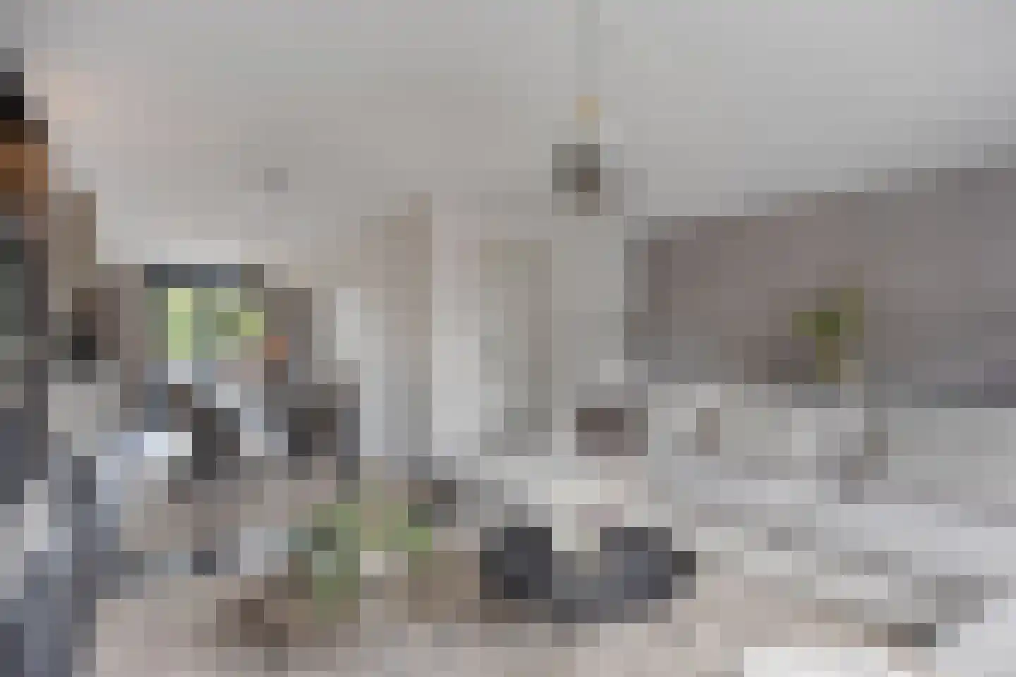 Heer Balderikstraat 71 Zaltbommel thumbnail 12