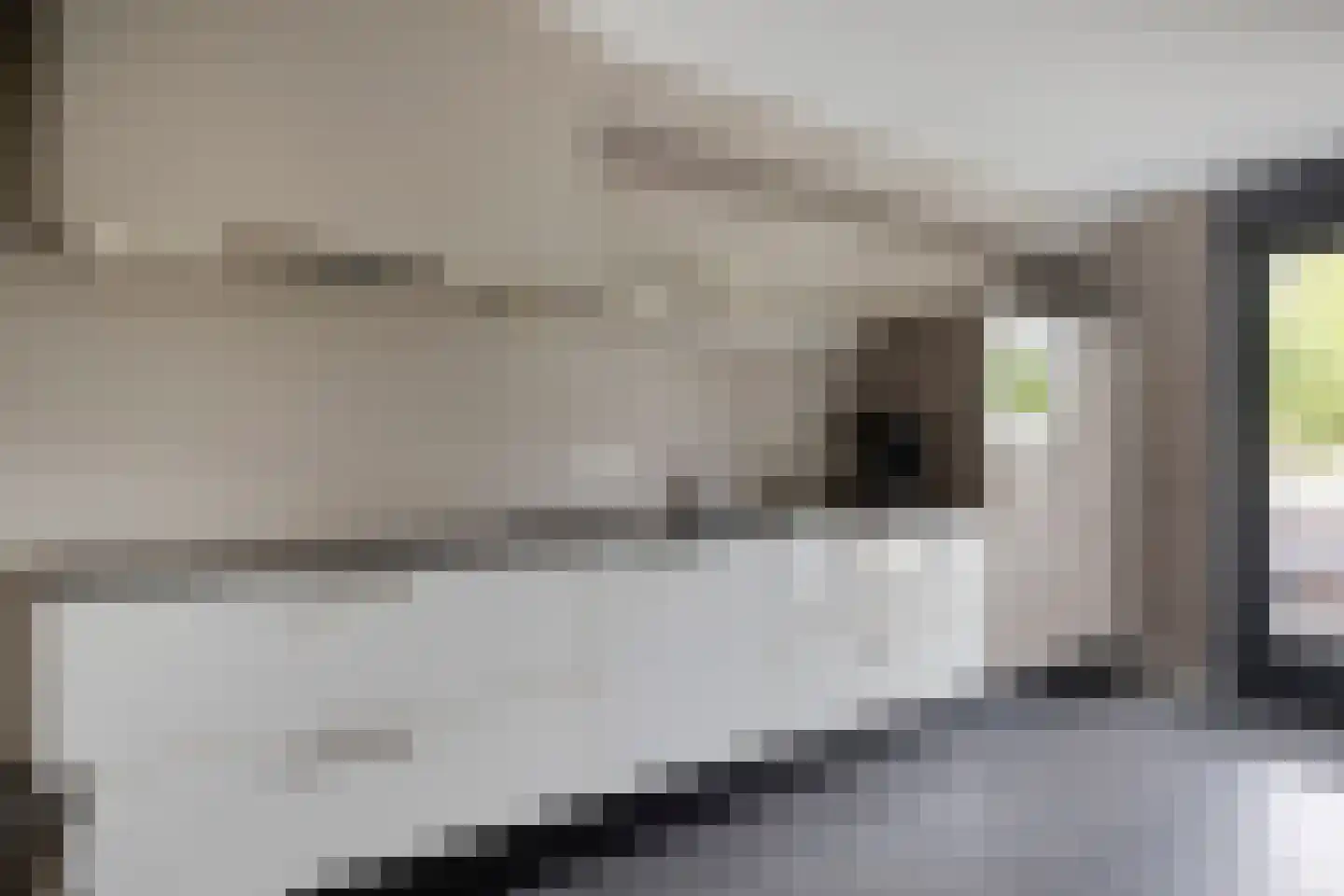 Heer Balderikstraat 71 Zaltbommel thumbnail 14