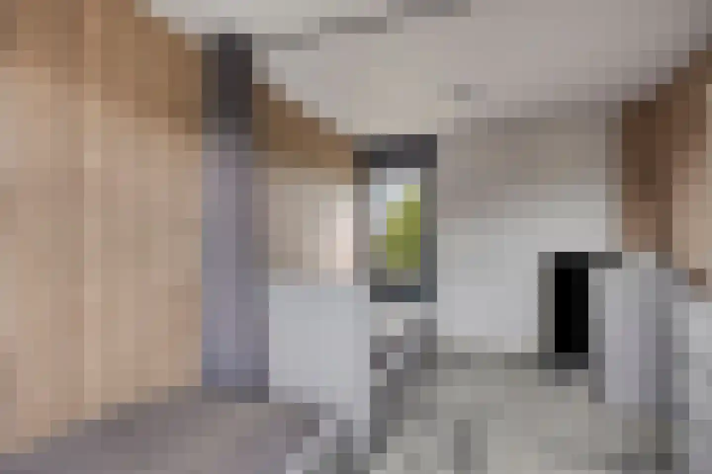 Heer Balderikstraat 71 Zaltbommel thumbnail 26
