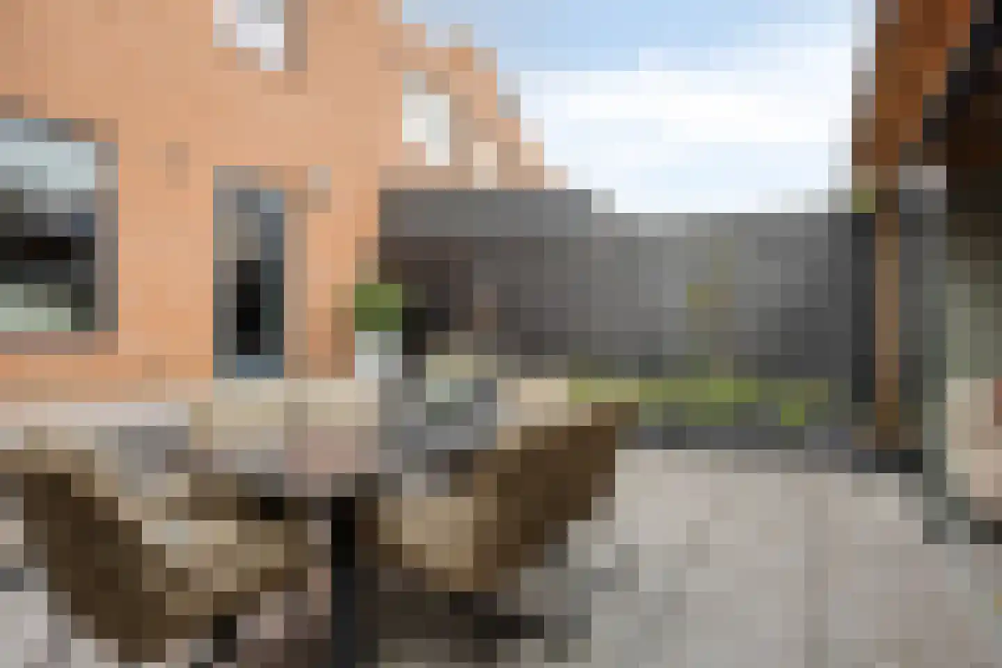Heer Balderikstraat 71 Zaltbommel thumbnail 30