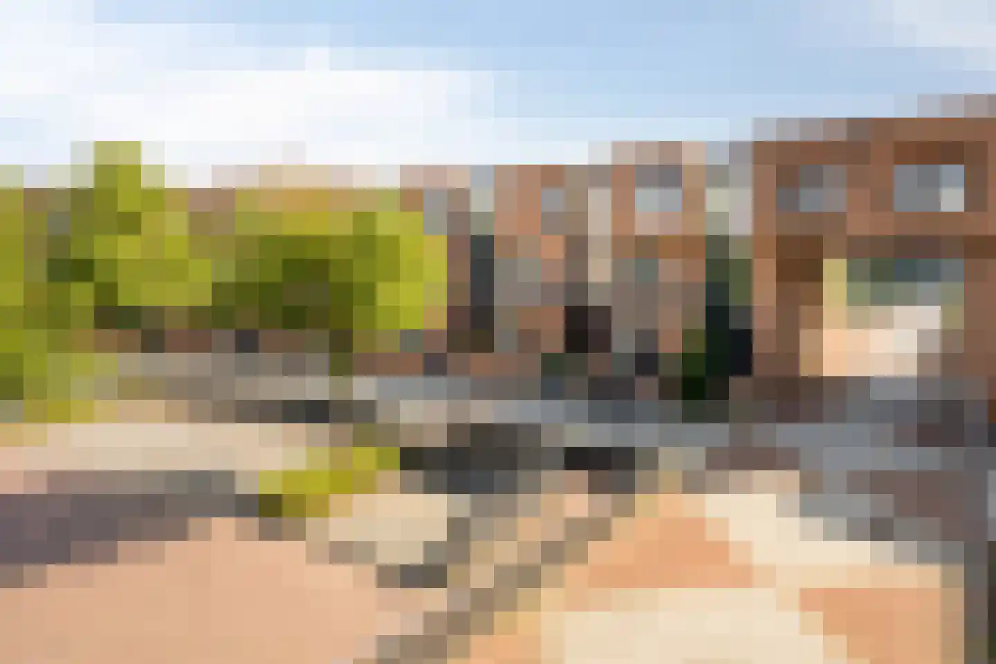 Heer Balderikstraat 71 Zaltbommel thumbnail 5