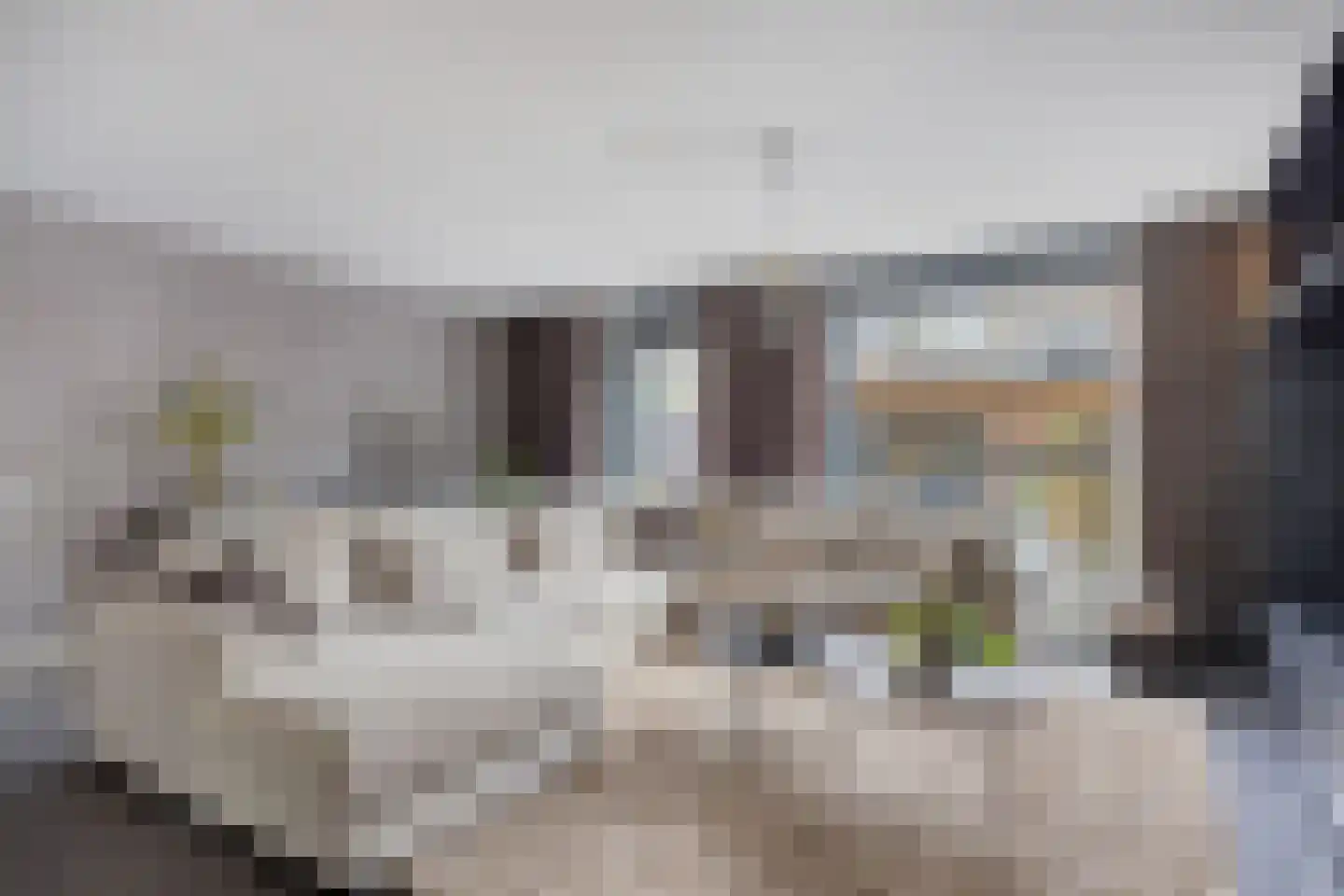 Heer Balderikstraat 71 Zaltbommel thumbnail 9