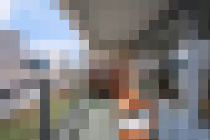 Heer Bokelweg 114 Rotterdam thumbnail 10