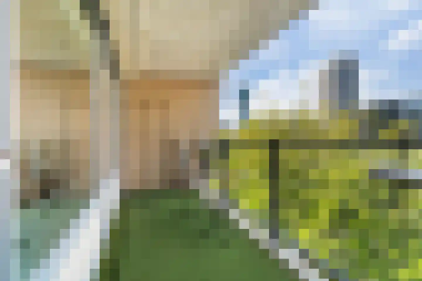 Heer Bokelweg 186 Rotterdam thumbnail 24