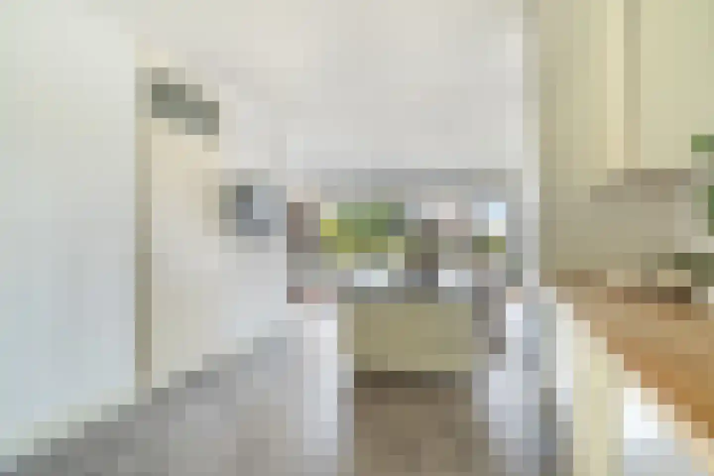 Heer Bokelweg 186 Rotterdam foto 3