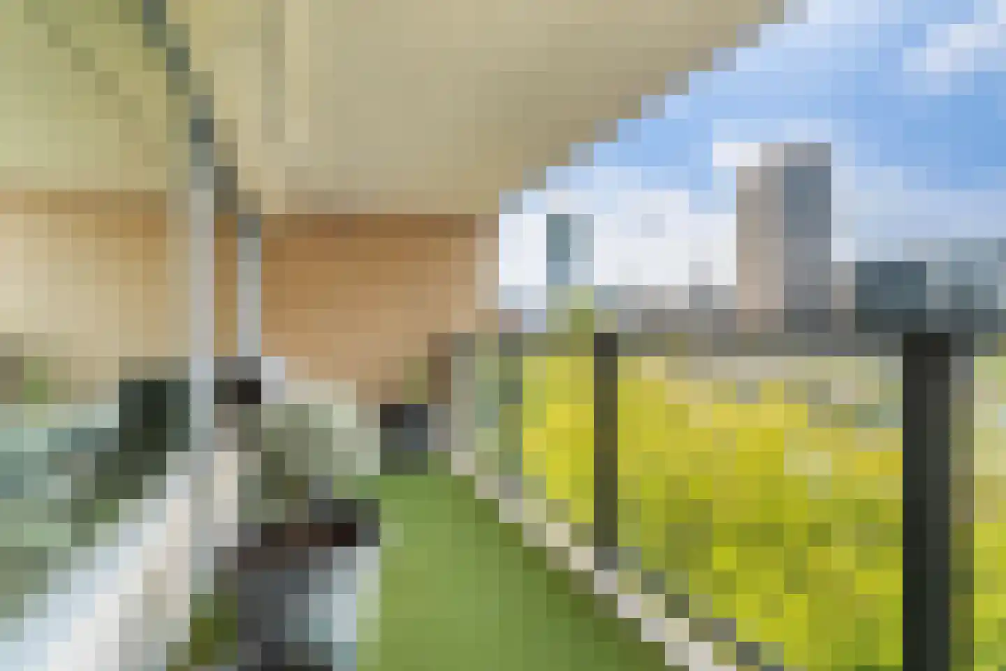 Heer Bokelweg 186 Rotterdam thumbnail 47