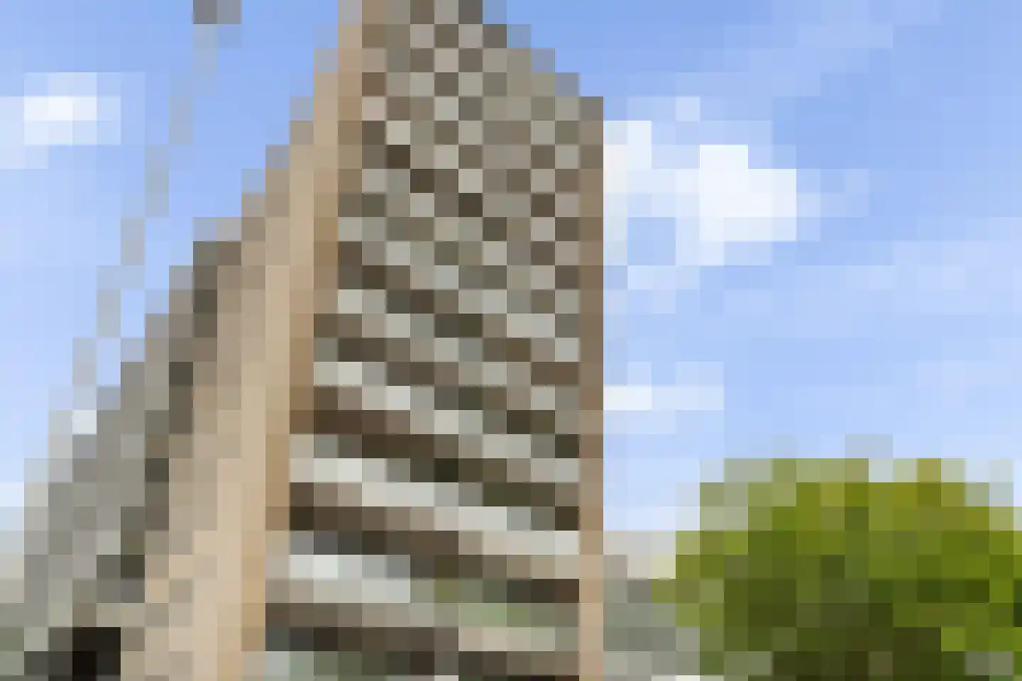 Heer Bokelweg 186 Rotterdam thumbnail 5