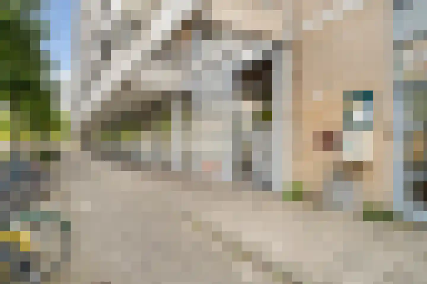 Heer Bokelweg 186 Rotterdam thumbnail 6