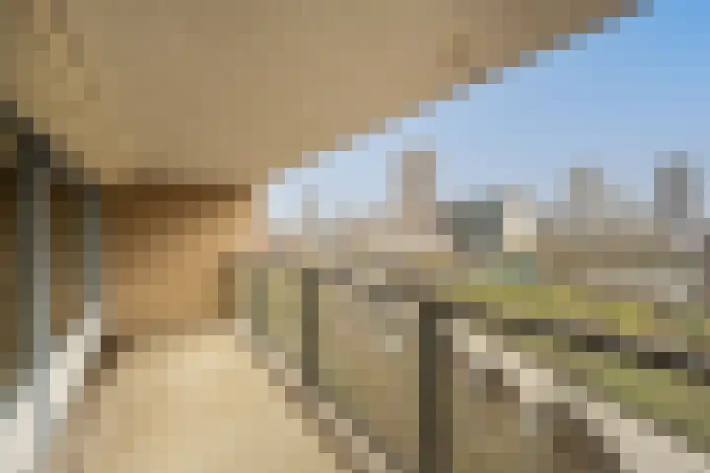 Heer Bokelweg 190 Rotterdam thumbnail 6