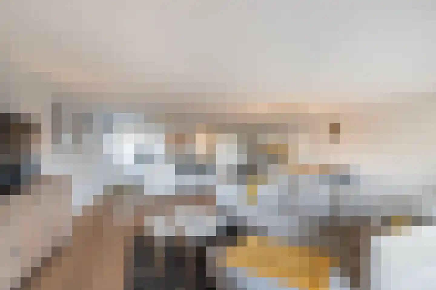 Heer Bokelweg 204 Rotterdam thumbnail 15