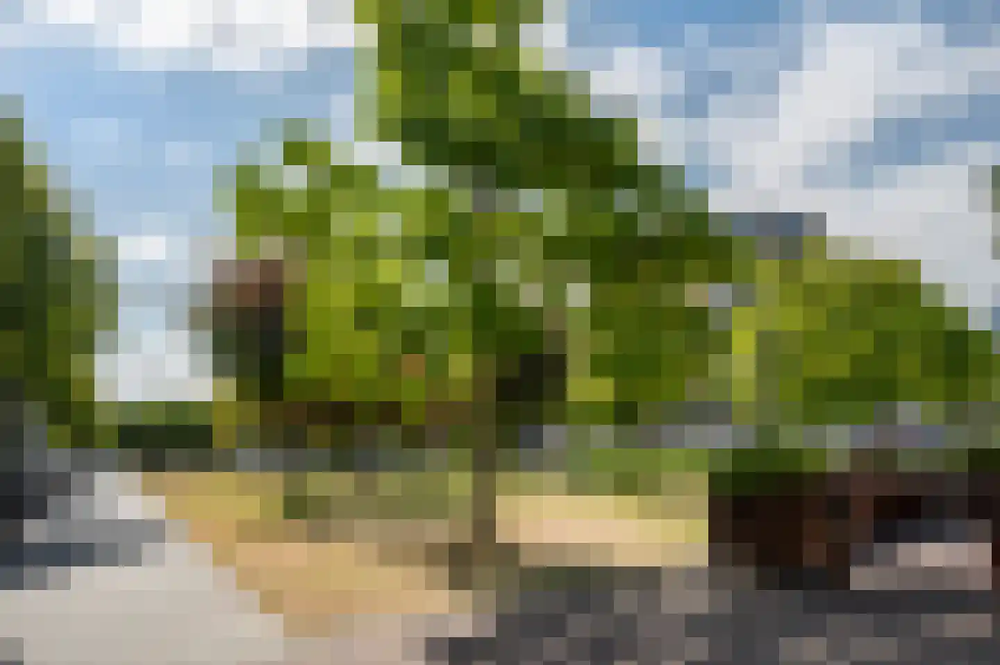 Heer Bokelweg 204 Rotterdam thumbnail 40