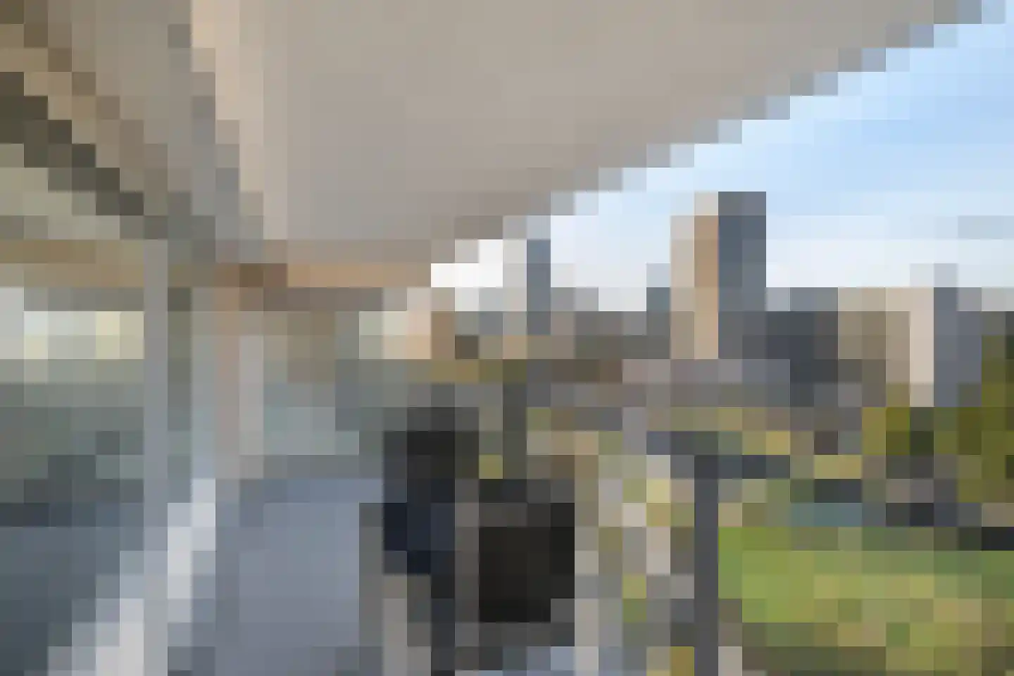 Heer Bokelweg 204 Rotterdam thumbnail 5