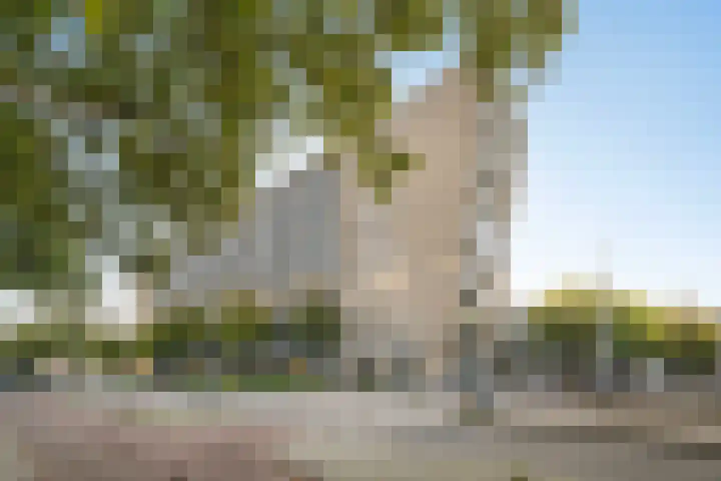 Heer Bokelweg 204 Rotterdam thumbnail 7