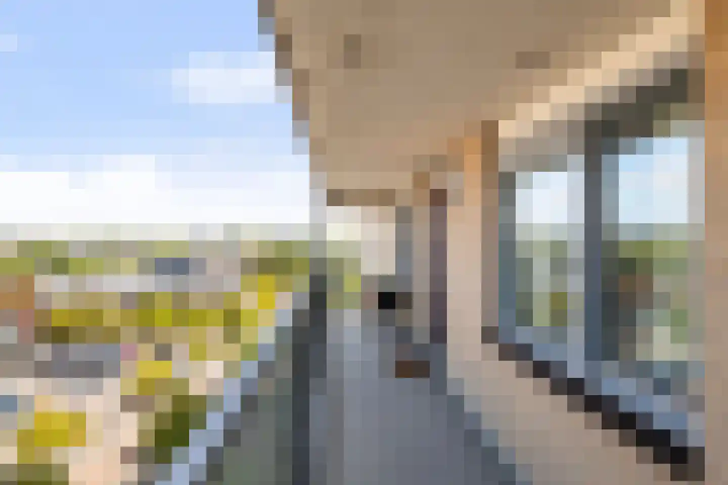 Heer Bokelweg 50 Rotterdam thumbnail 22
