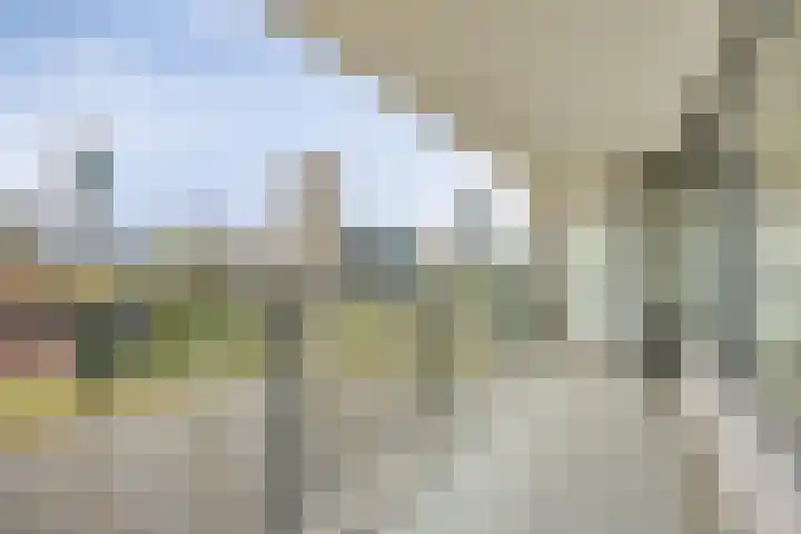 Heer Bokelweg 78 in Rotterdam