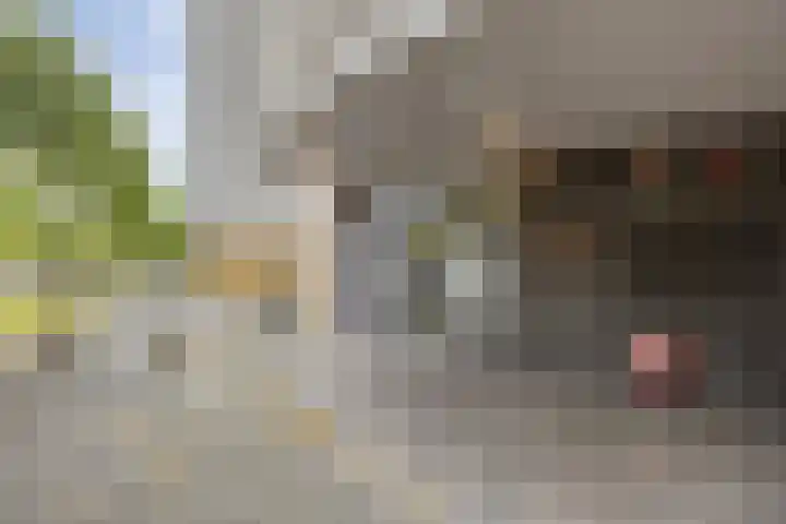 Heer Bokelweg 78 Rotterdam thumbnail 4