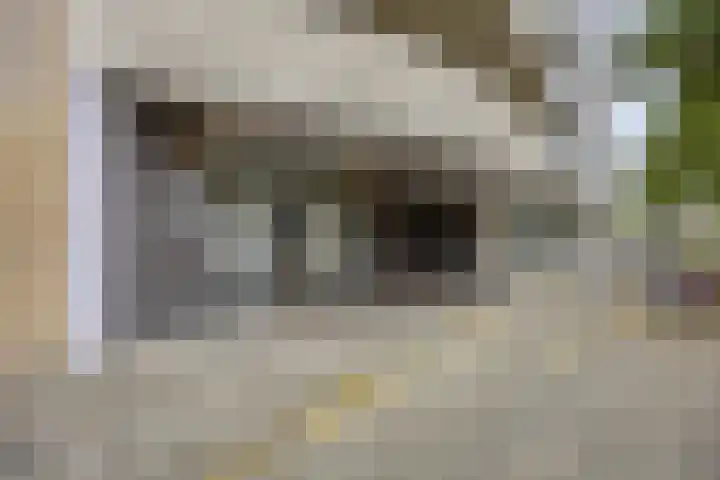 Heer Bokelweg 78 Rotterdam thumbnail 6