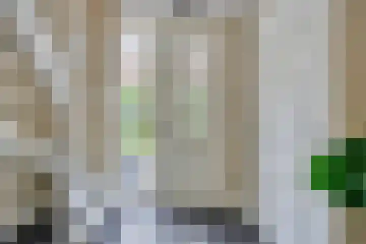Heer de Heuschweg 121 Mierlo thumbnail 10
