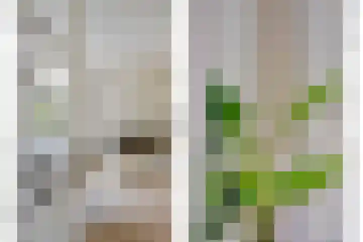 Heer de Heuschweg 121 Mierlo thumbnail 12