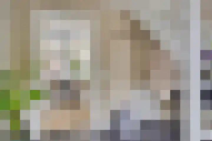 Heer de Heuschweg 121 Mierlo thumbnail 13
