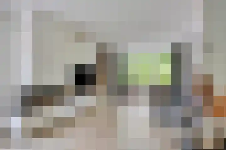 Heer de Heuschweg 121 Mierlo thumbnail 14