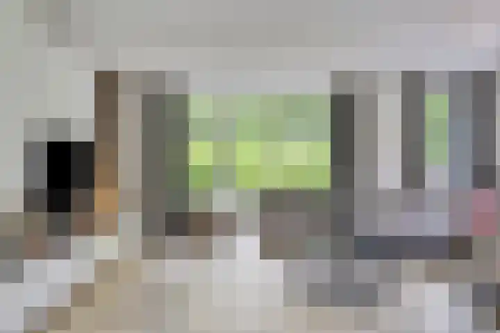 Heer de Heuschweg 121 Mierlo thumbnail 15
