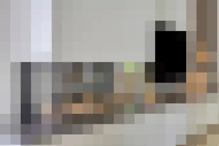 Heer de Heuschweg 121 Mierlo thumbnail 16