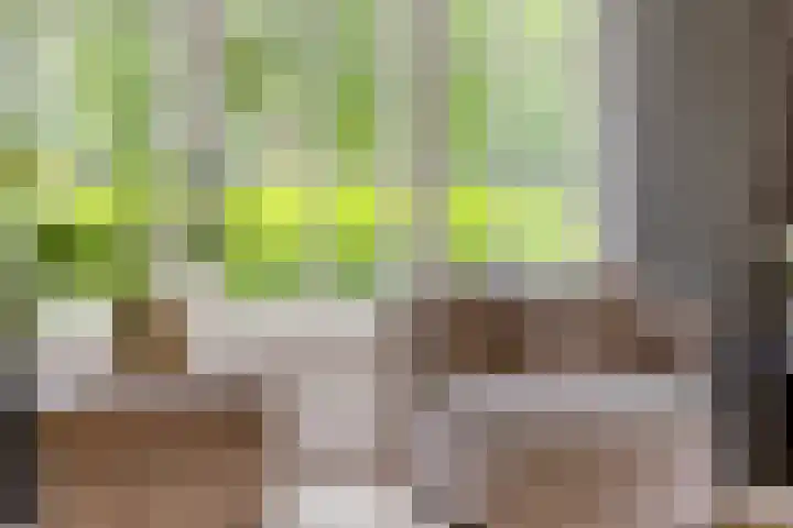 Heer de Heuschweg 121 Mierlo thumbnail 18
