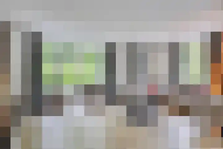Heer de Heuschweg 121 Mierlo foto 2