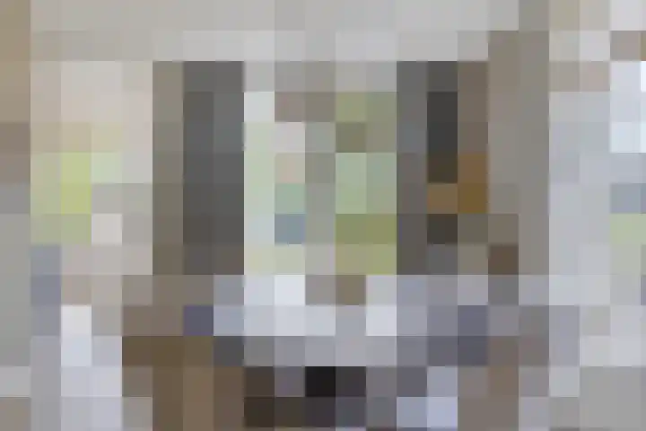 Heer de Heuschweg 121 Mierlo thumbnail 22
