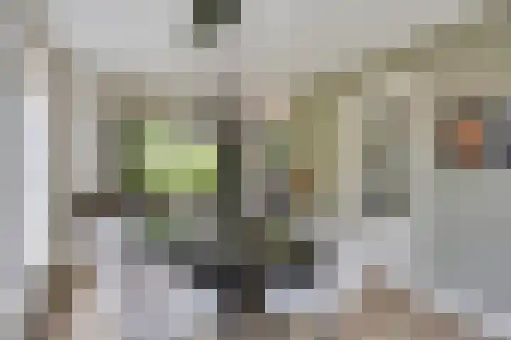Heer de Heuschweg 121 Mierlo thumbnail 23