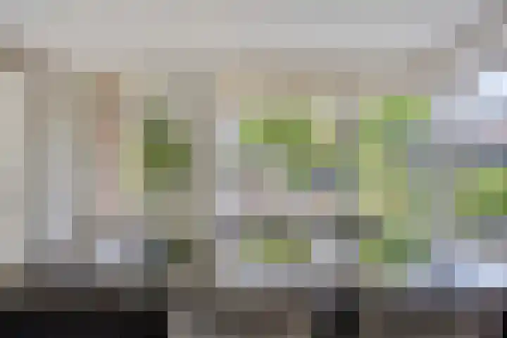 Heer de Heuschweg 121 Mierlo thumbnail 28