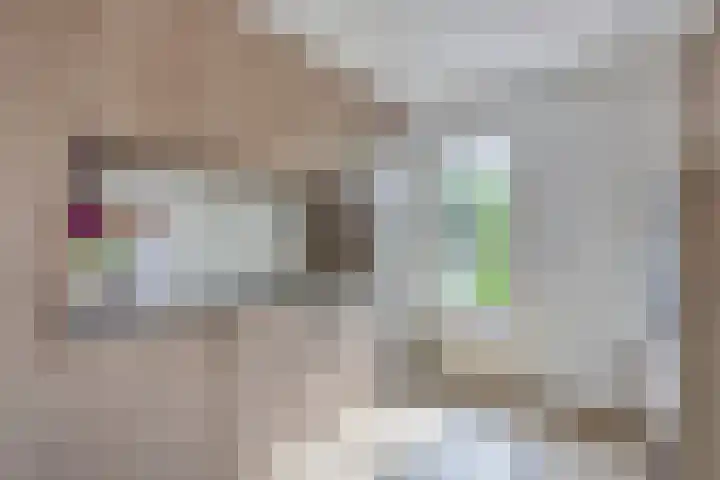Heer de Heuschweg 121 Mierlo thumbnail 29